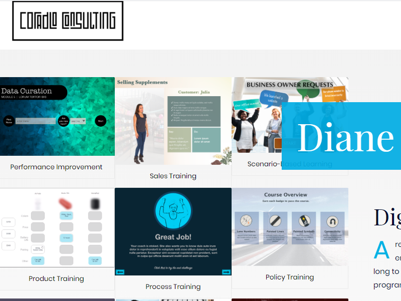 Elearning Portfolio Examples Portfolio Samples Ideas And Links